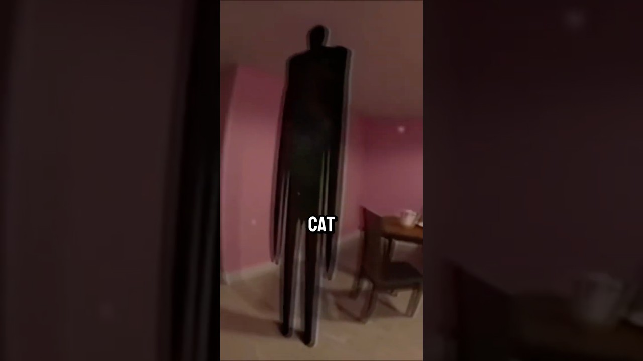 😻 What if a CAT Entered KITTY'S HOUSE in the BACKROOMS? 🏠