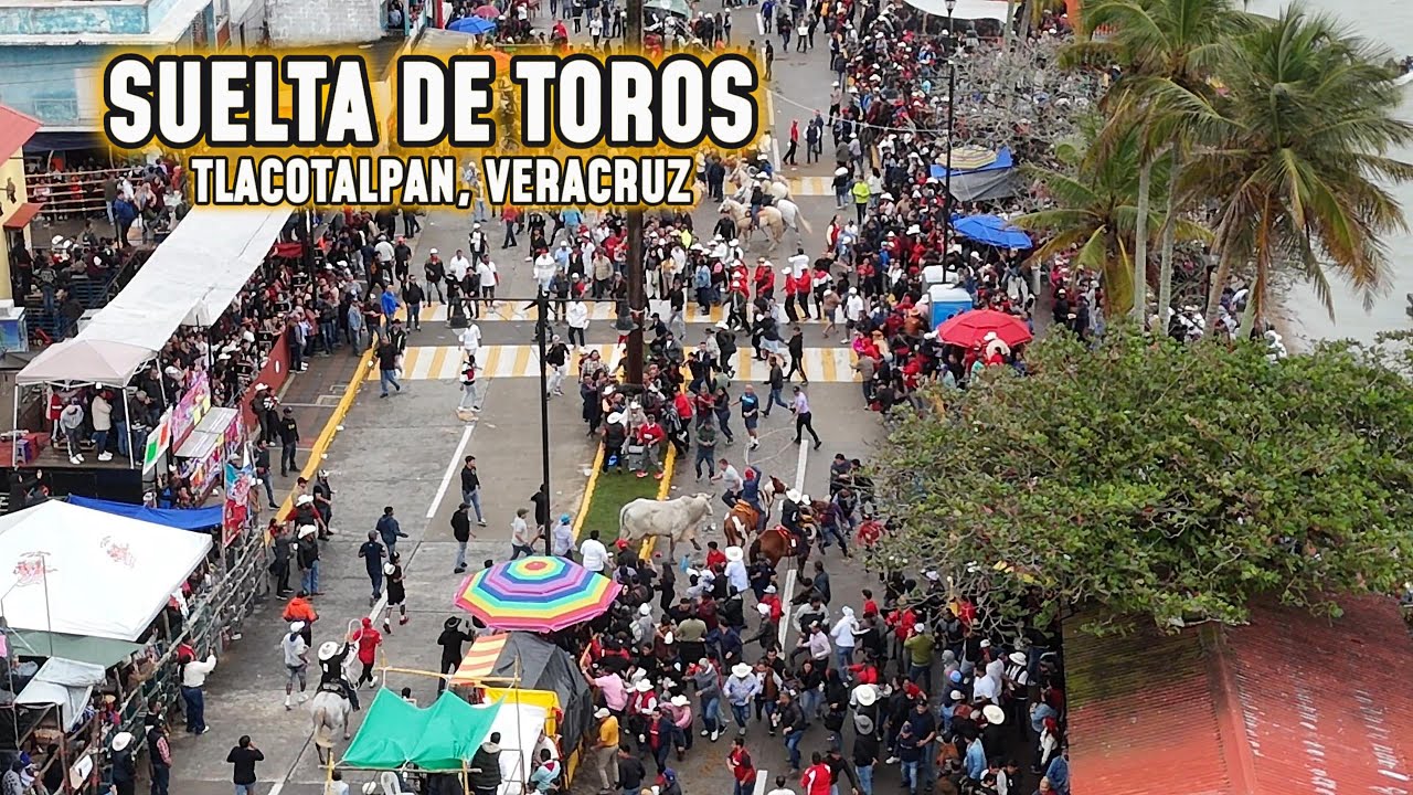 LA FAMOSA SUELTA DE TOROS PAMPLONADA EN TLACOTALPAN VERACRUZ