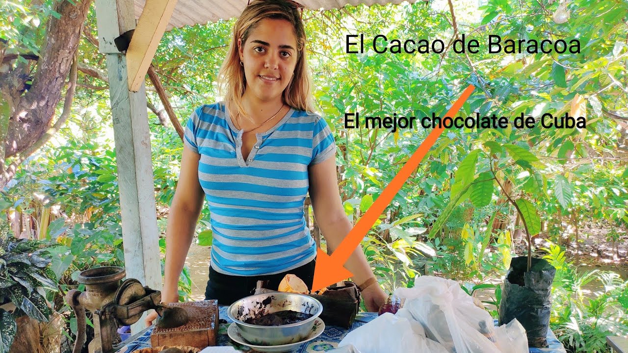 El Cacao de Baracoa, el mejor chocolate de Cuba!!!(2020)