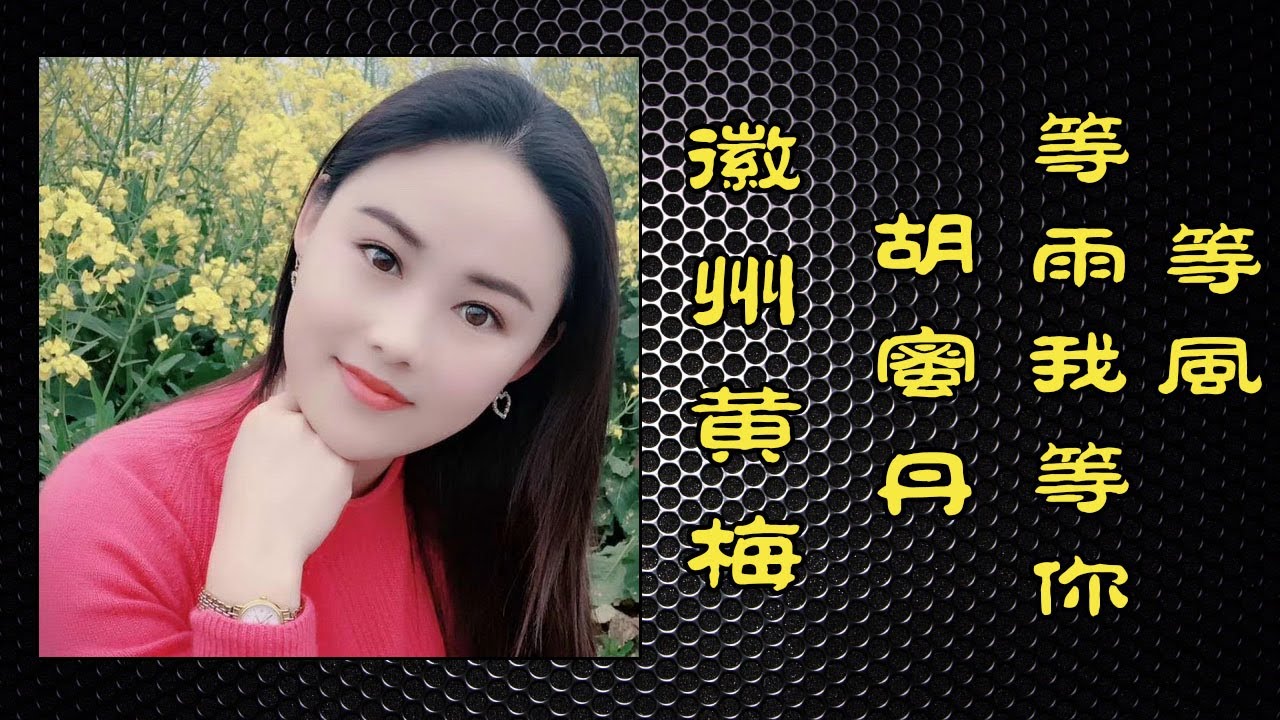 等风等雨我等你（徽州黄梅）演唱：胡蜜丹