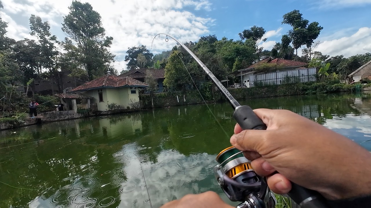 Mancing Borongan Rp 3,8 Juta Bawal Nila Umpan Sosis Cacing
