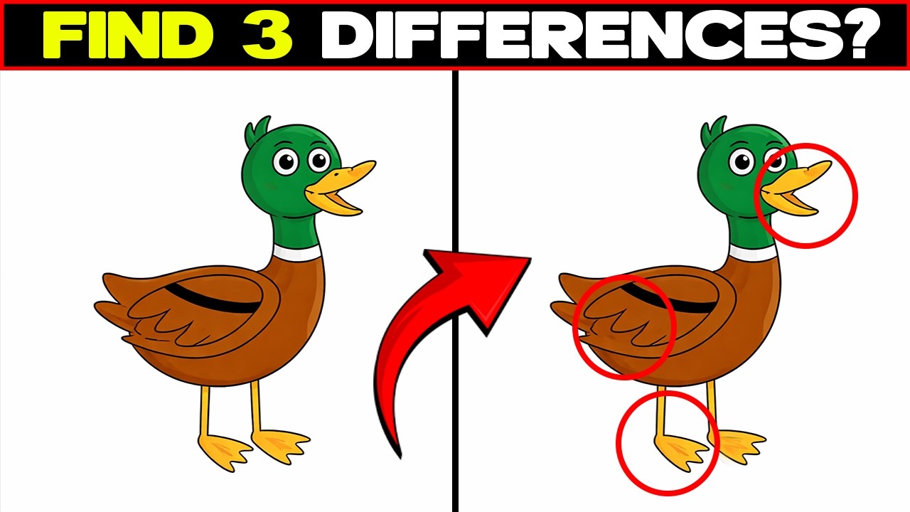 Three Changes Hidden in the Image🧠#9 Game Challenge | Find 3 Differences | Quizory Lab