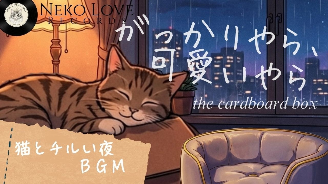 がっかりやら、可愛いやら│the cardboard box