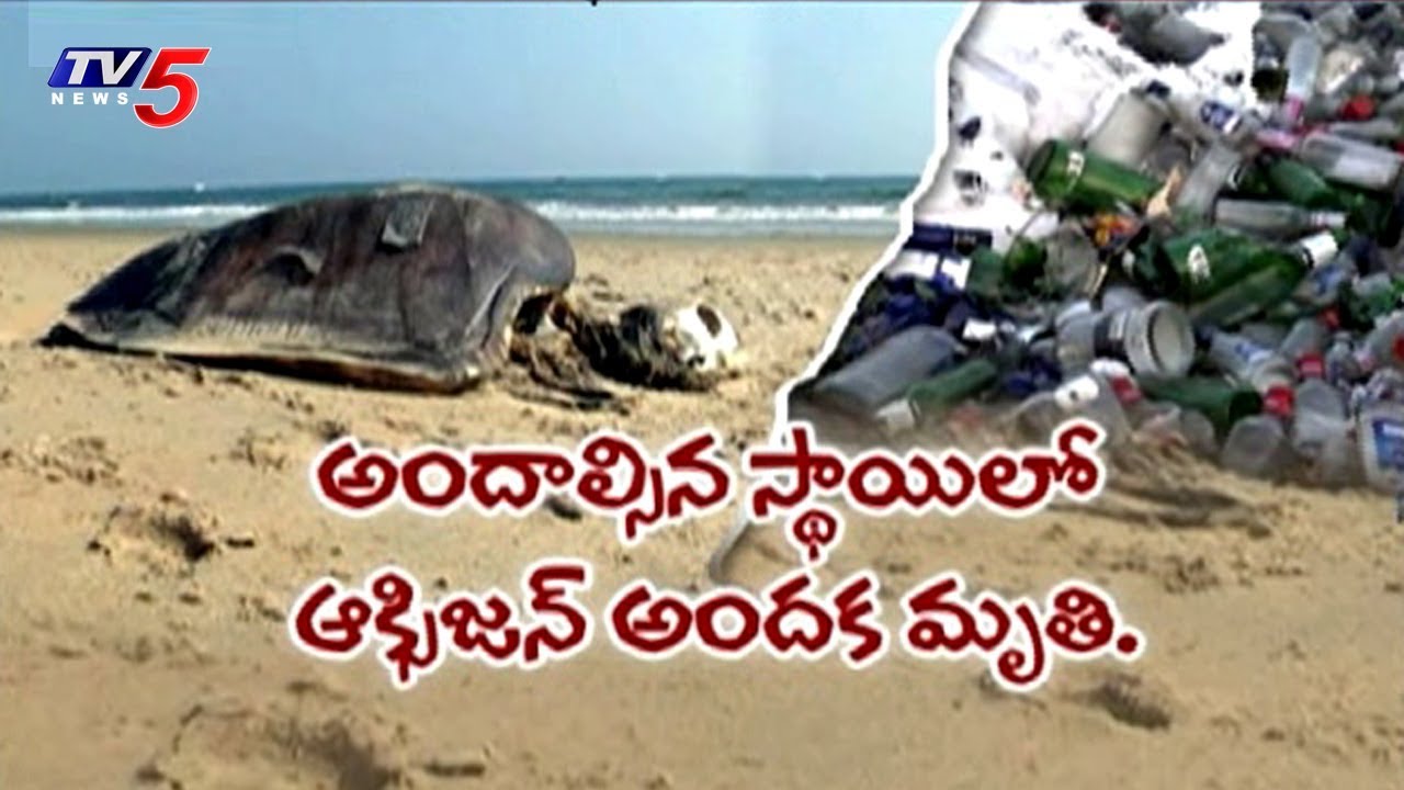 ప్రమాదంలో విశాఖ సముద్ర తీరం..! | Pollution Effects In Visakhapatnam Beach | TV5 News
