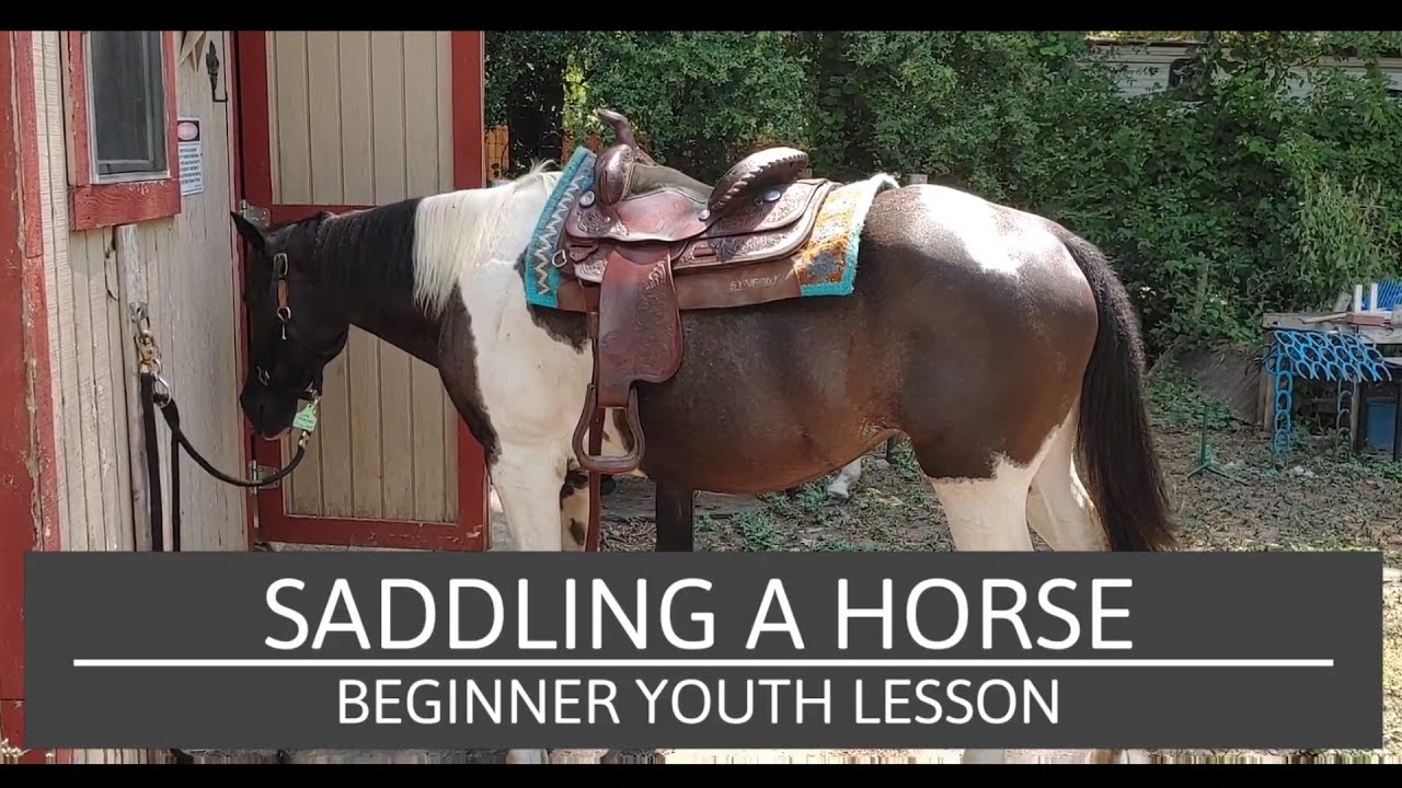 Saddling a horse with a Western saddle - Youth Beginner Horse Riding Lessons