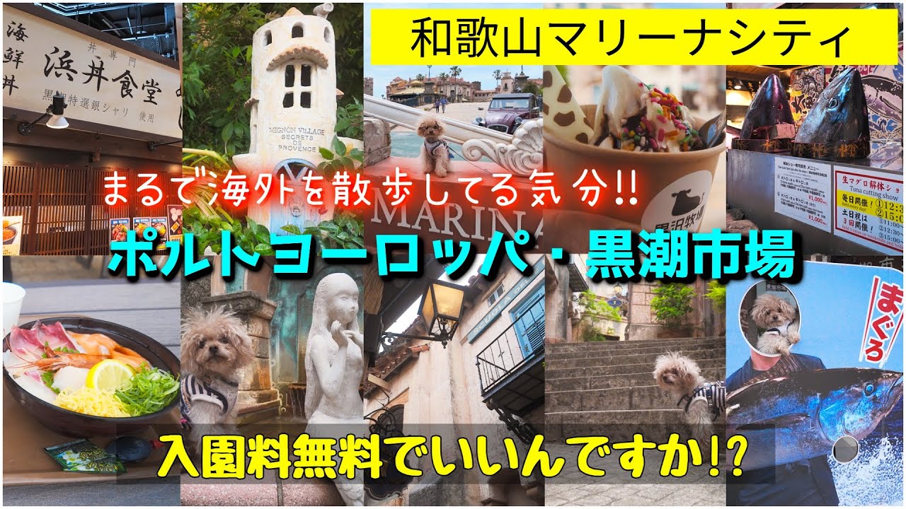 【犬とお出かけ】まるで海外!?映えスポットだらけのポルトヨーロッパ!!【和歌山マリーナシティ】【黒潮市場】【犬と旅行】＊46