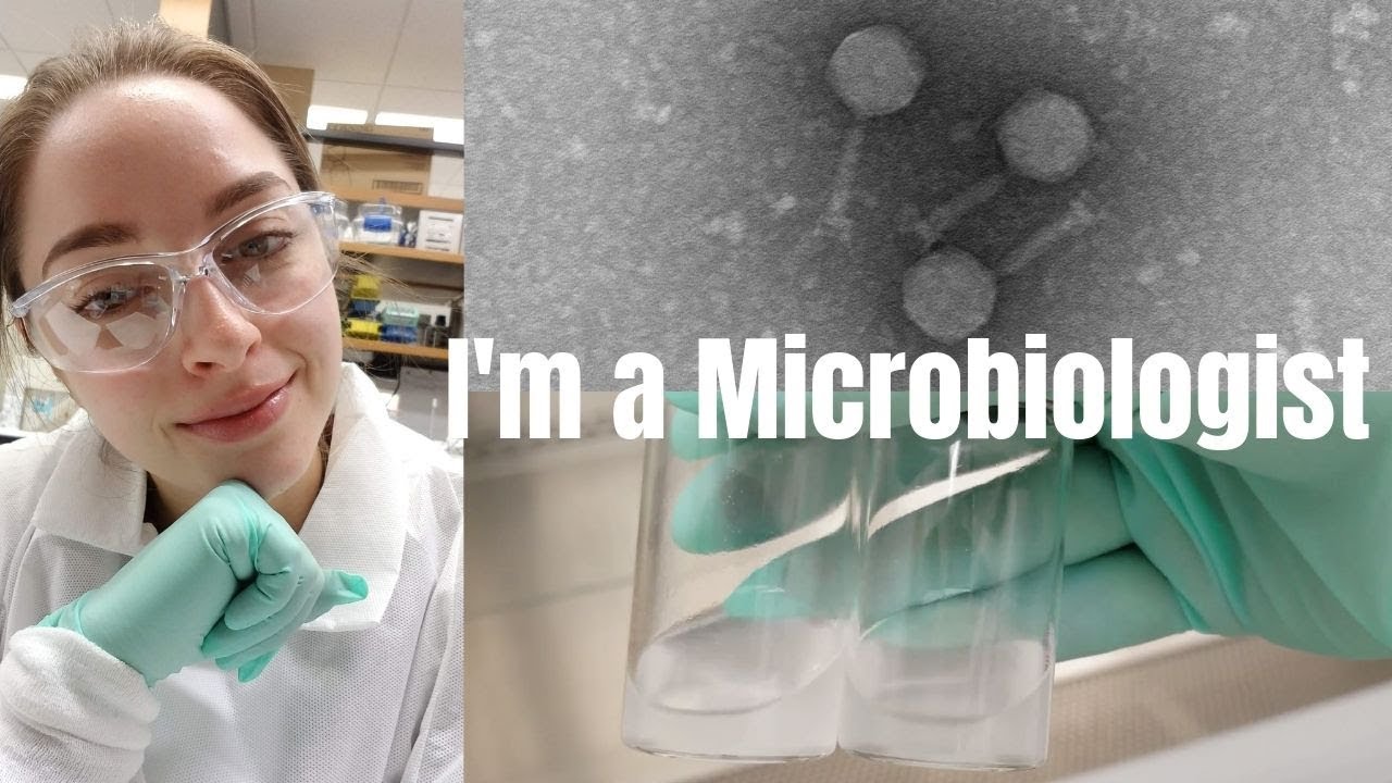 My Full-Time Job | What I do, My income, How you can get started in research