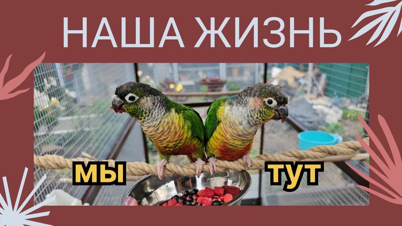 Влог | Мы вернулись. Наши новости.