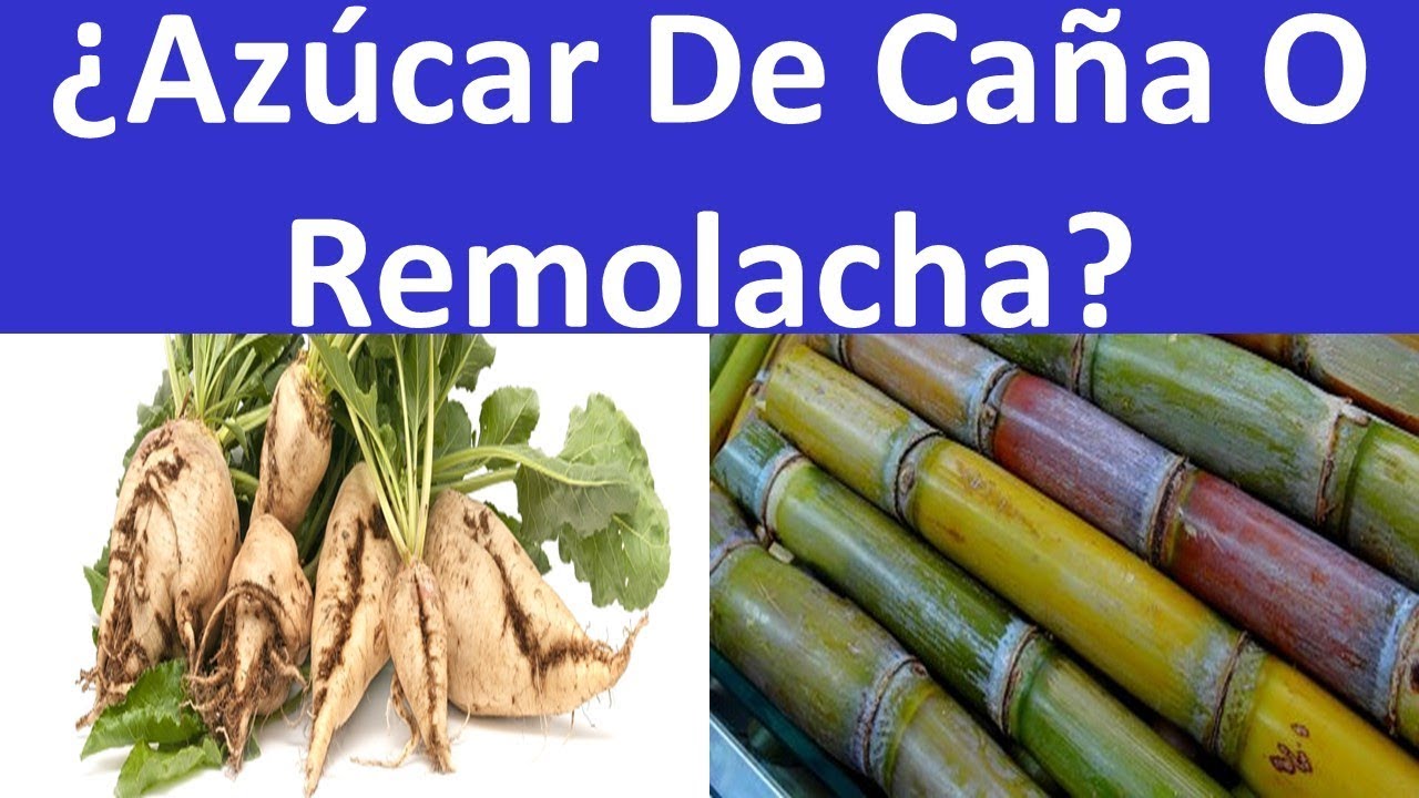 Beneficios Del Az&uacute;car De Remolacha VS Az&uacute;car De Ca&ntilde;a &iquest;Cu&aacute;l Es M&aacute;s Saludable?