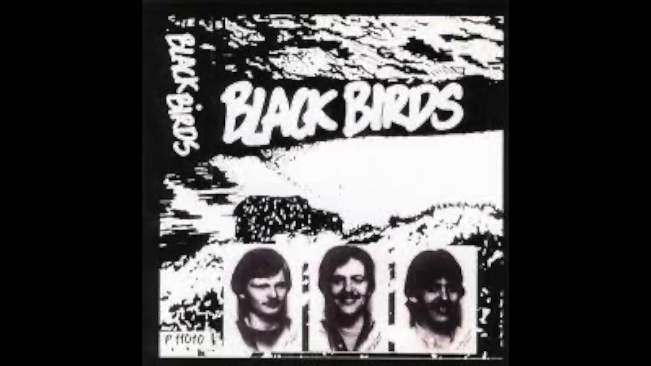 Black Birds - Toftasangurin