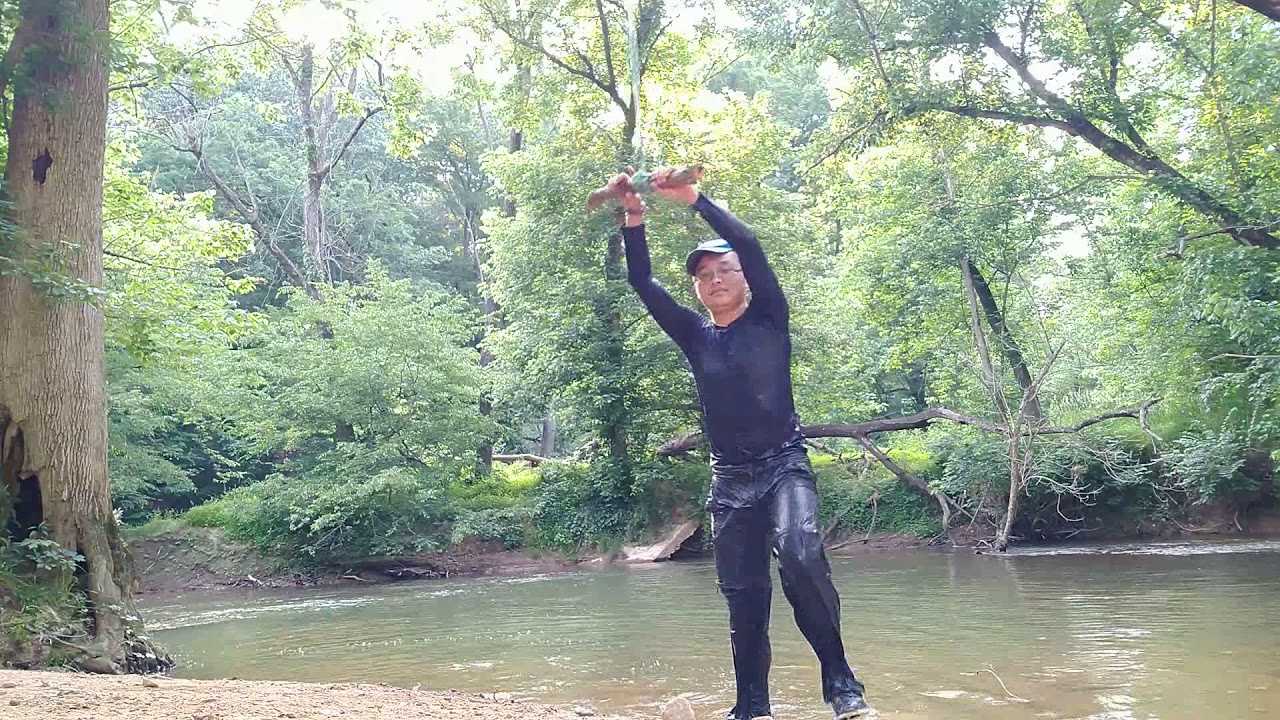 The young and dumb plays on rope tree swing