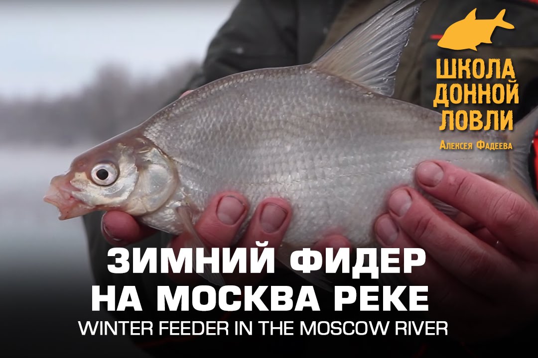 Зимний фидер на Москва реке