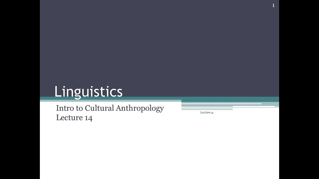 Lecture 14   Linguistics