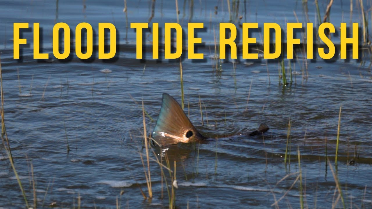 IN THE FLOOD | Fly Fishing for Redfish in the South Carolina Marsh