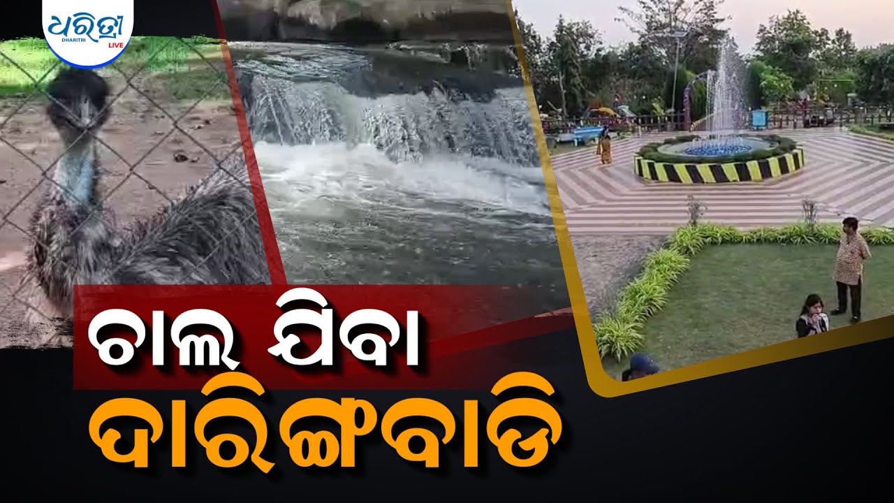 ଚାଲ ଯିବା ଦାରିଙ୍ଗବାଡି  || Let's go Daringbadi ||