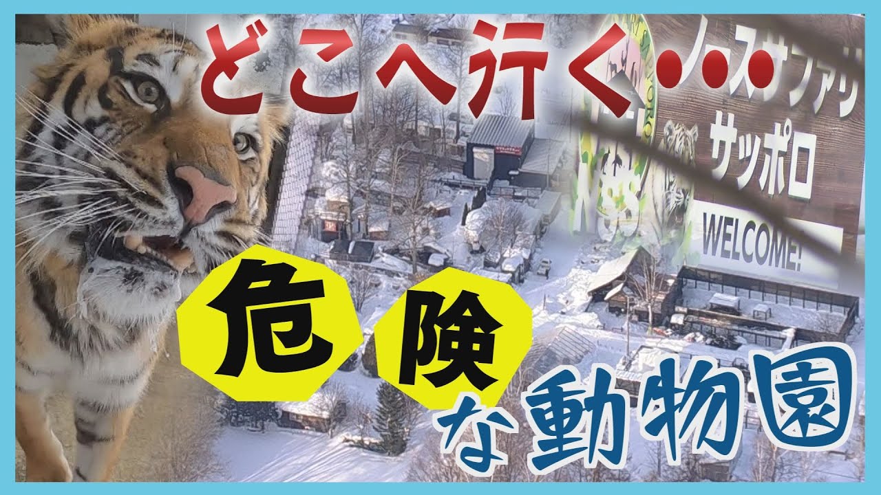 違法状態がなぜ20年間も…？動物たちはどうなる？　及び腰だった札幌市が認めた”反省点”　ノースサファリサッポロの現在地
