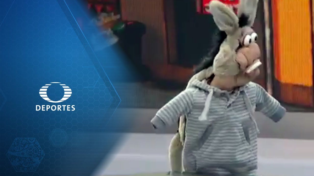El burro Van Raiting | El Animal de Compaye | La Jugada del Mundial