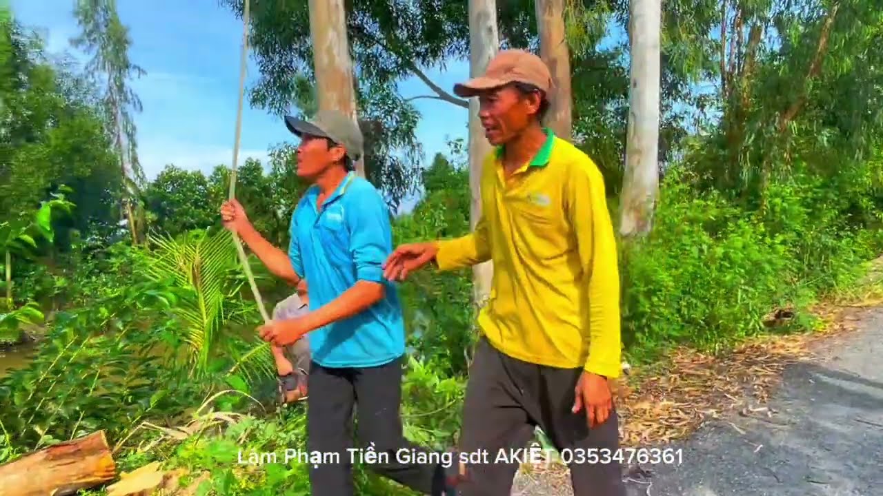 Toàn cảnh nhóm A kiệt cưa những cây trong ngày có nhiều độ khó nguy hiểm Cao