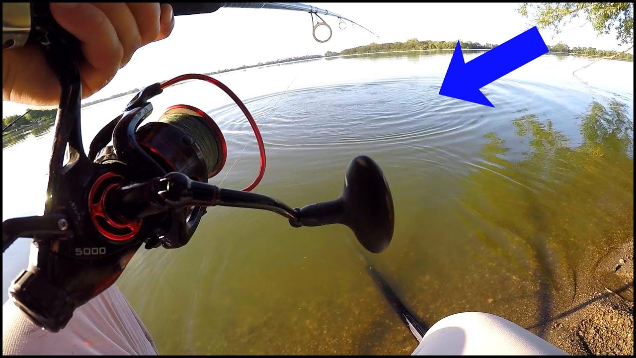 I Caught a BIG FISH and then Ran Out of Bait! (Summer Carp Fishing)