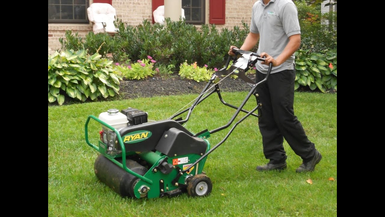 PennyGreen - How to properly Thatch / Aerate / Seed your lawn