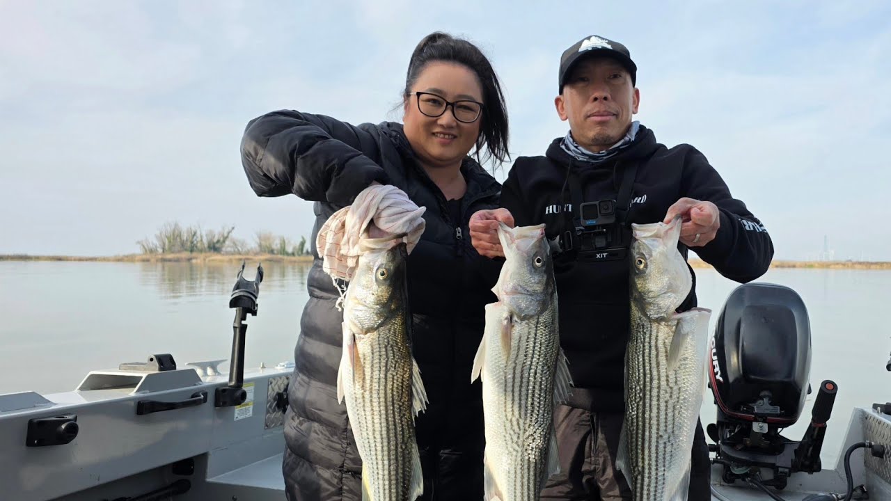 Sherman Island striper fishing 2026#delta#striper#shermanisland
