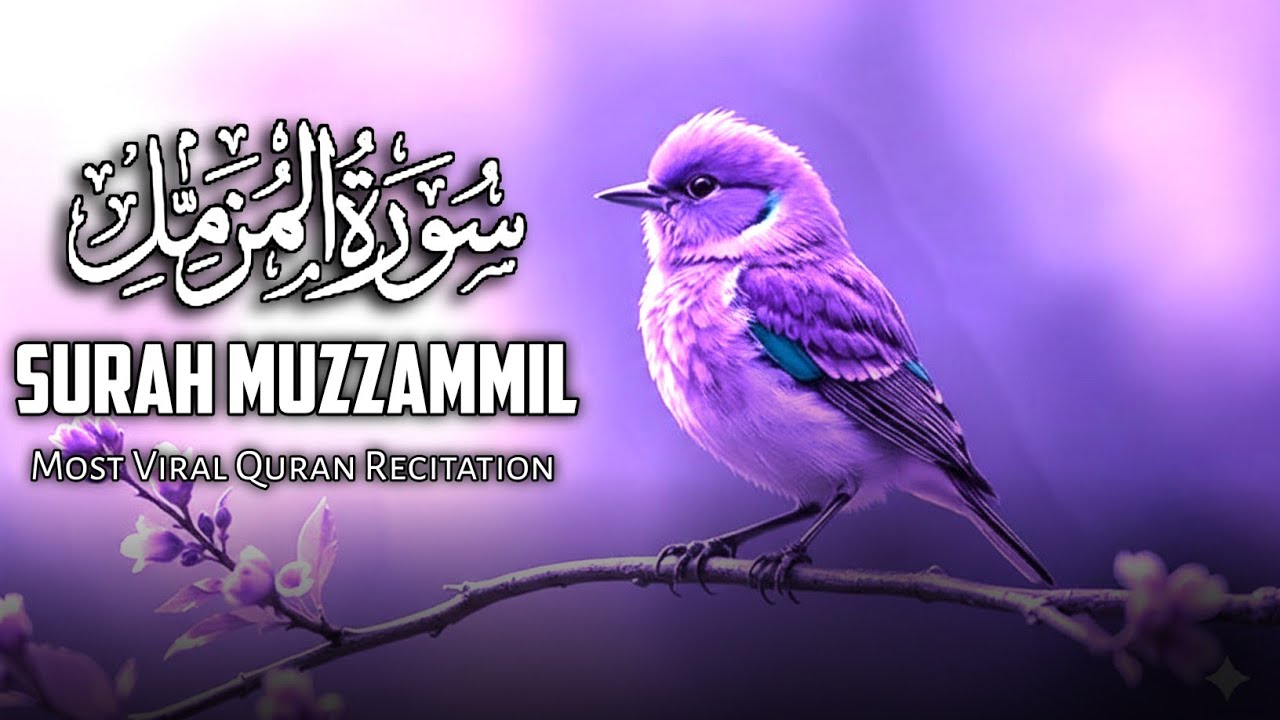 Surah Al-Muzzammil (سورة المزمل) | Most Beautiful & Peaceful Tilawat | Soothing Tilawat