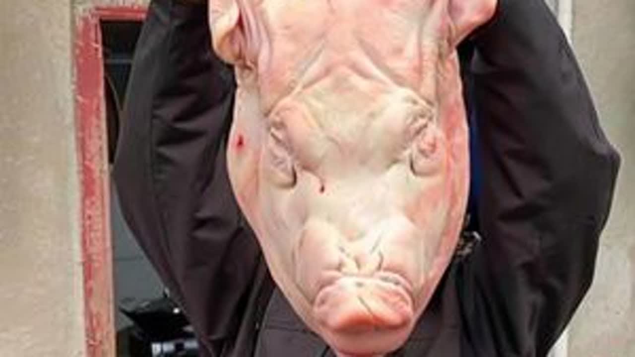 猪老壳多少钱一斤？丰弟今天花50块买上一个，梁快安排铁锅卤猪头，喊上兄弟伙来，顺便让丰弟介绍一下对象！#我的乡村生活 #新农人计划2025 #农村美食 #卤猪头