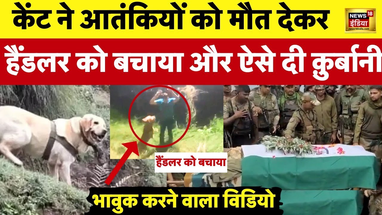 Rajouri Encounter news : सेना के जवान को बचाते हुए शहीद हुई Kent | Sniffer Dog | Indian Army