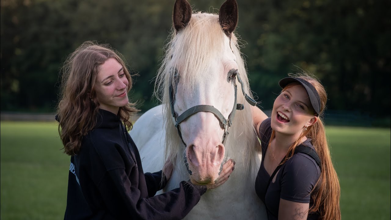 Juni Weekendje 2025 - Rc Het Fjordenpaard