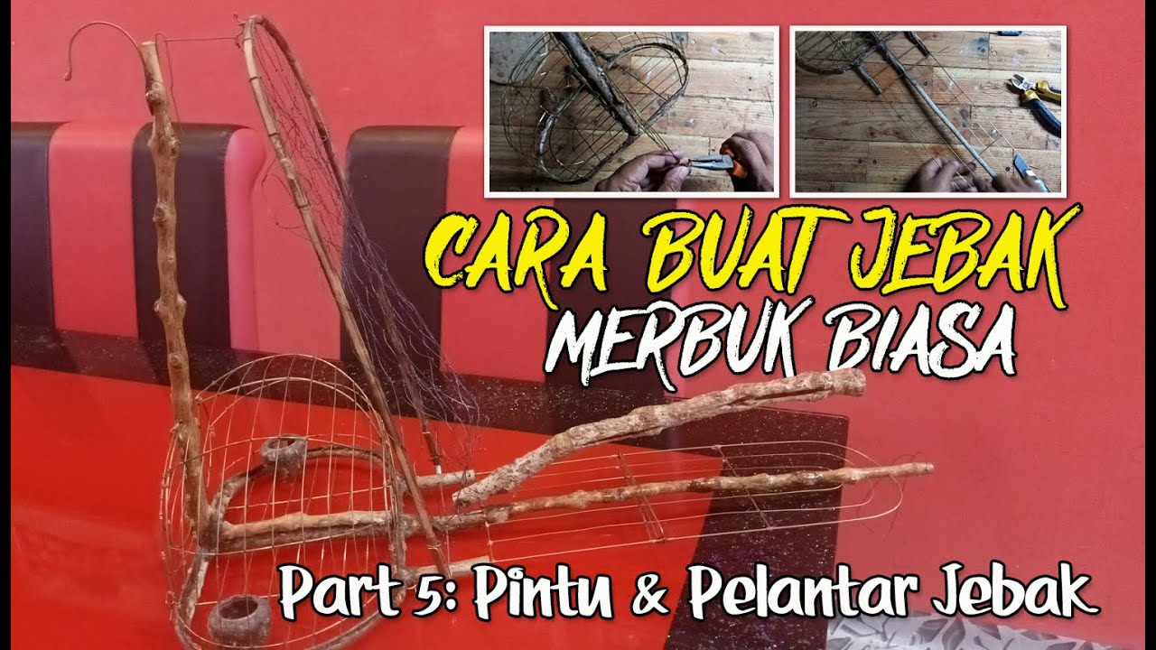 CARA BUAT JEBAK MERBUK / PERKUTUT JENIS BIASA / PELANTAR ... PART 5, PINTU DAN PELANTAR JEBAK
