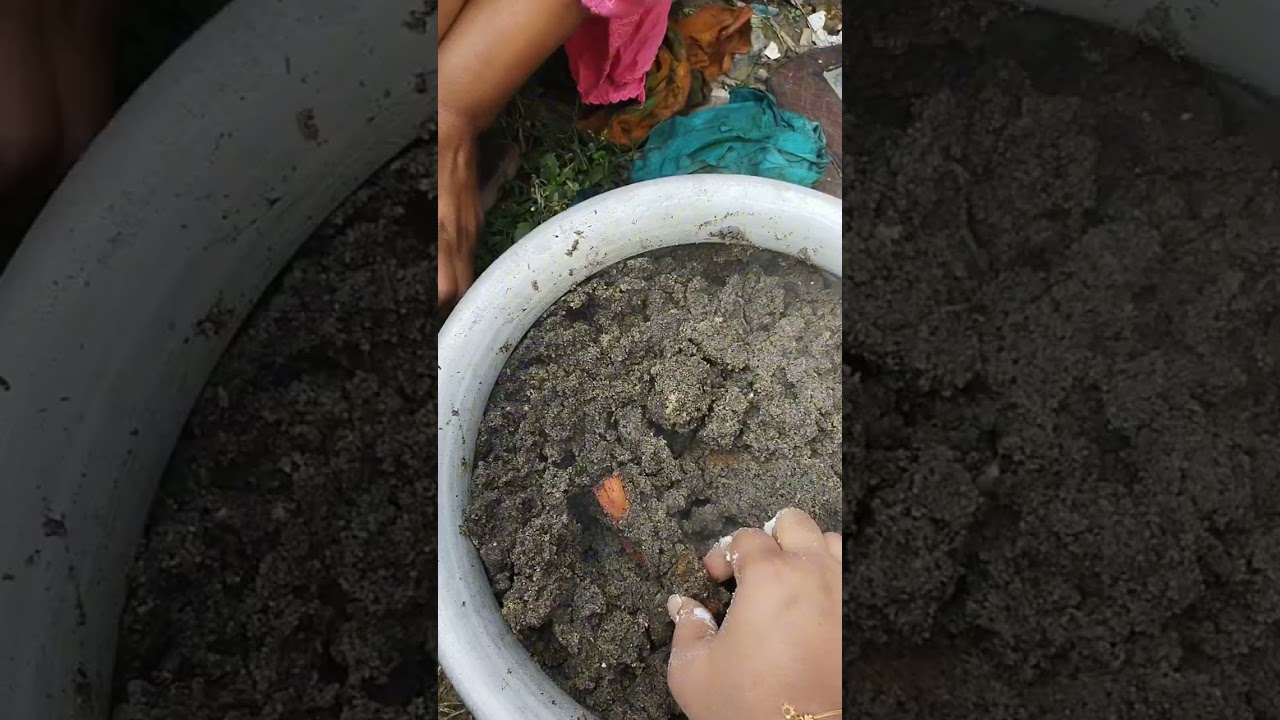 অনেক বছর পরে শাশুড়ী মজার পিঠা বানায়ছে 
