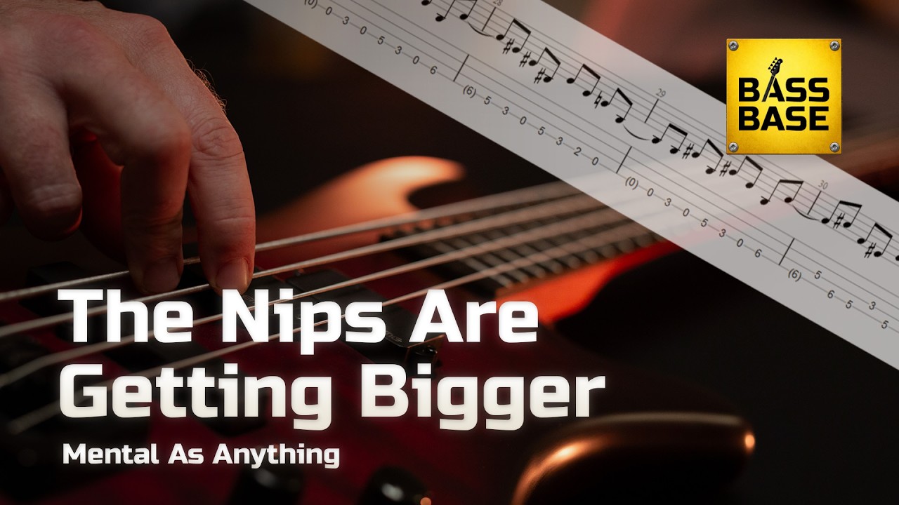 Mental As Anything - The Nips Are Getting Bigger - кавер на бас-гитаре с табулатурами