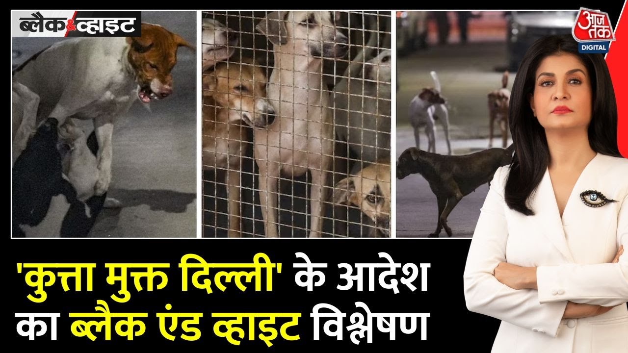 Black and White: Supreme Court का Street Dogs पर बड़ा आदेश, Delhi-NCR में बढ़ेगा विवाद? | Aajtak