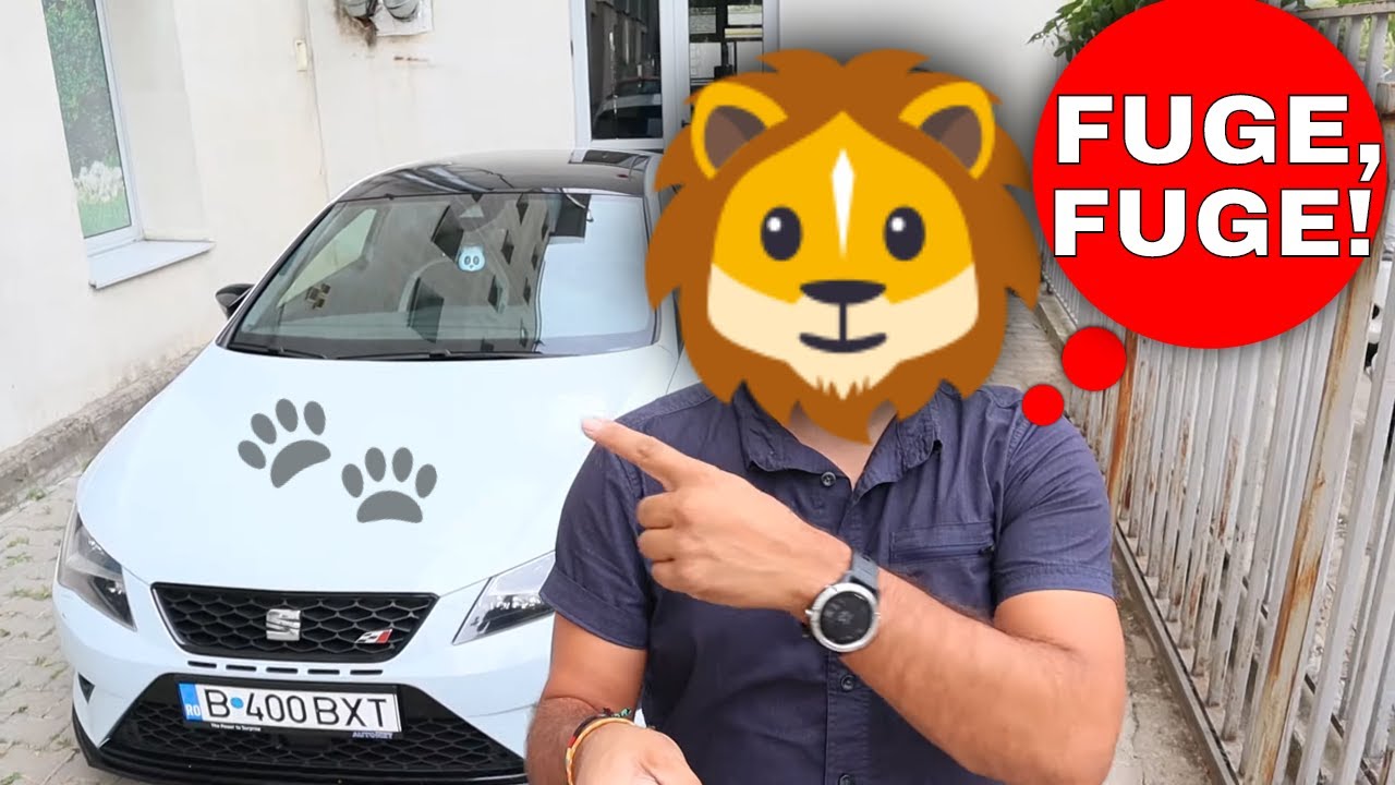 Verificare auto second hand: Seat Leon Cupra 2.0 benzina 400 cp