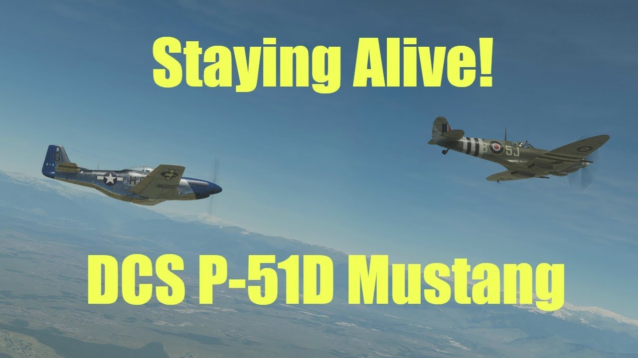 Ralfi's Alley - Staying alive in the P-51D Mustang