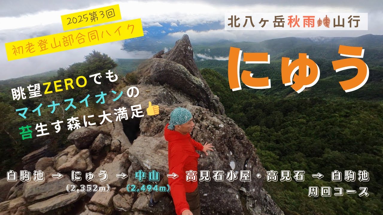 【信州山歩き】秋雨山行・北八ヶ岳『白駒池～にゅう』周回コース　～苔生す森は雨がお似合い～