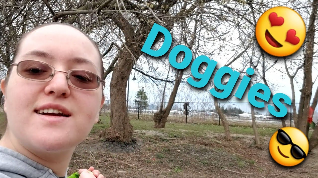 Social Distance Routine