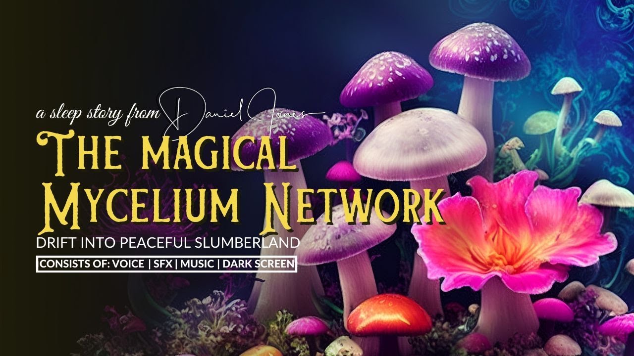 DISCOVERING THE MAGICAL MYCELIUM NETWORK - Long Bedtime Story for Grown Ups (Nature Sounds Version)