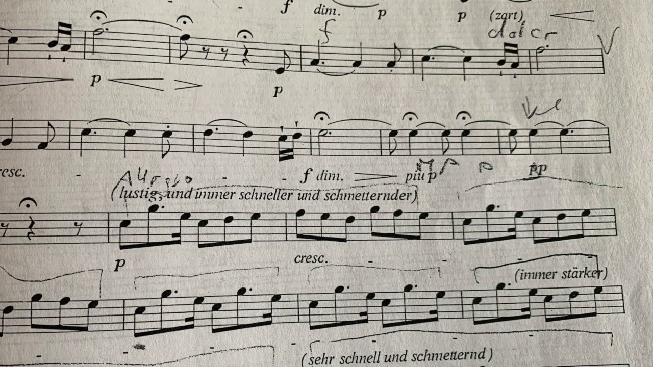 RICHARD WAGNER ...SIEGFRIED  LONG CALL...HORN EXCERPTS