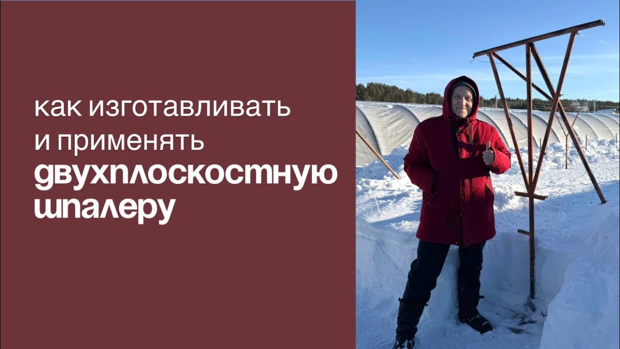 Двухплоскостная шпалера для винограда своими руками. Советы от виноградаря.Размеры и чертежи.