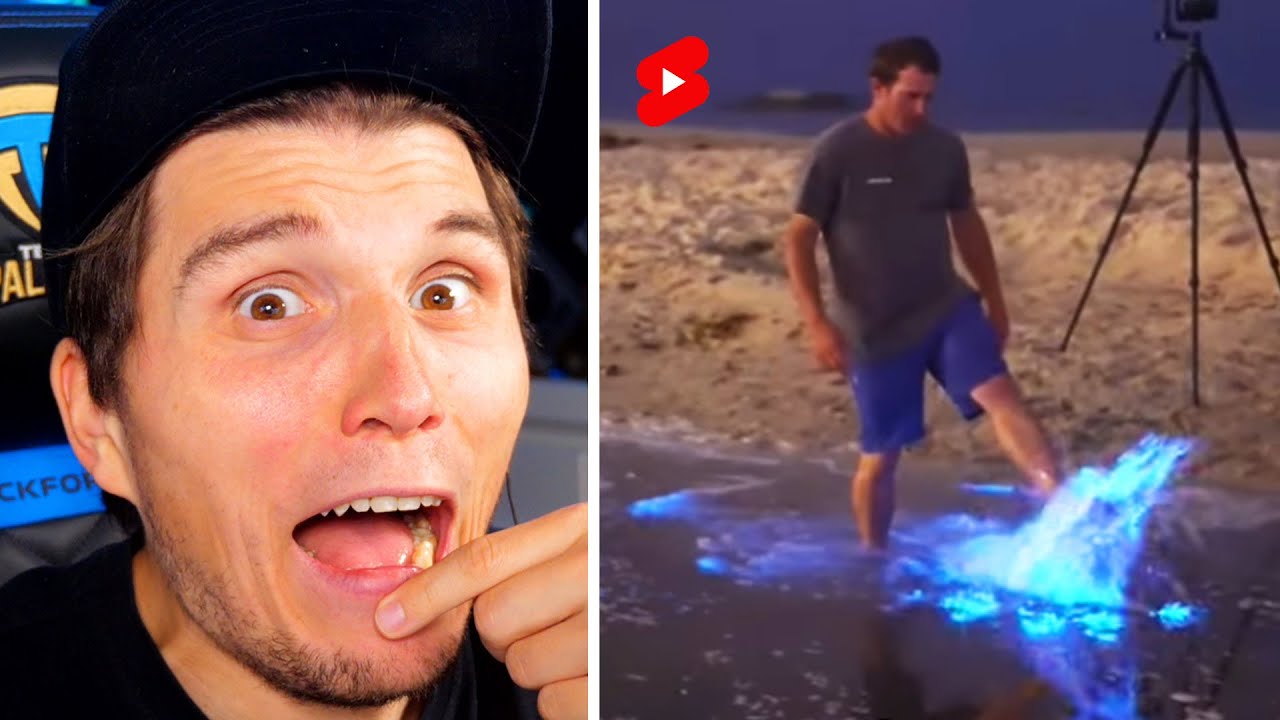 Paluten guckt Shorts 452.0