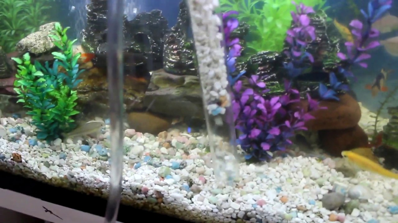 1 NEW, The Best Electric Pro Aquarium Gravel Vacuum