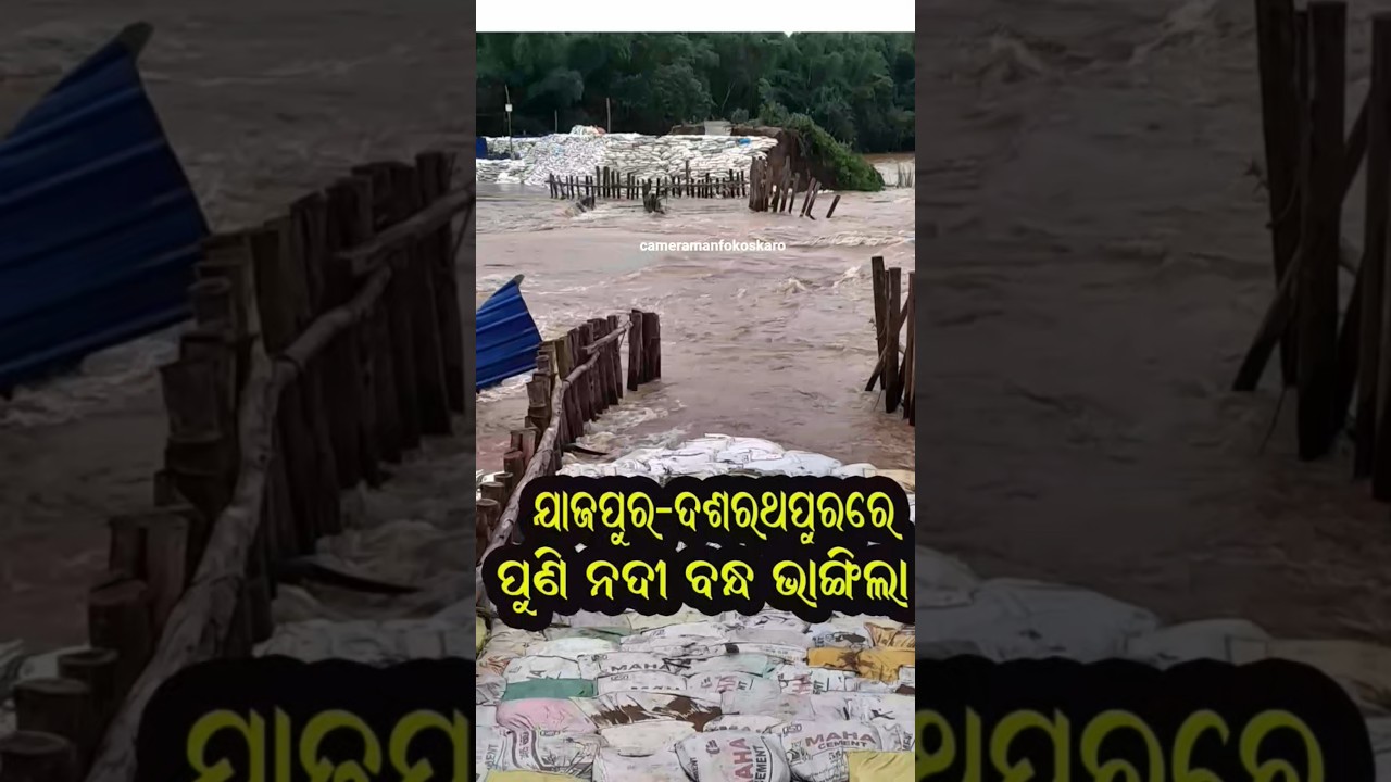 Jajpur Flood Update #shorts #jajpur #heavy #flood