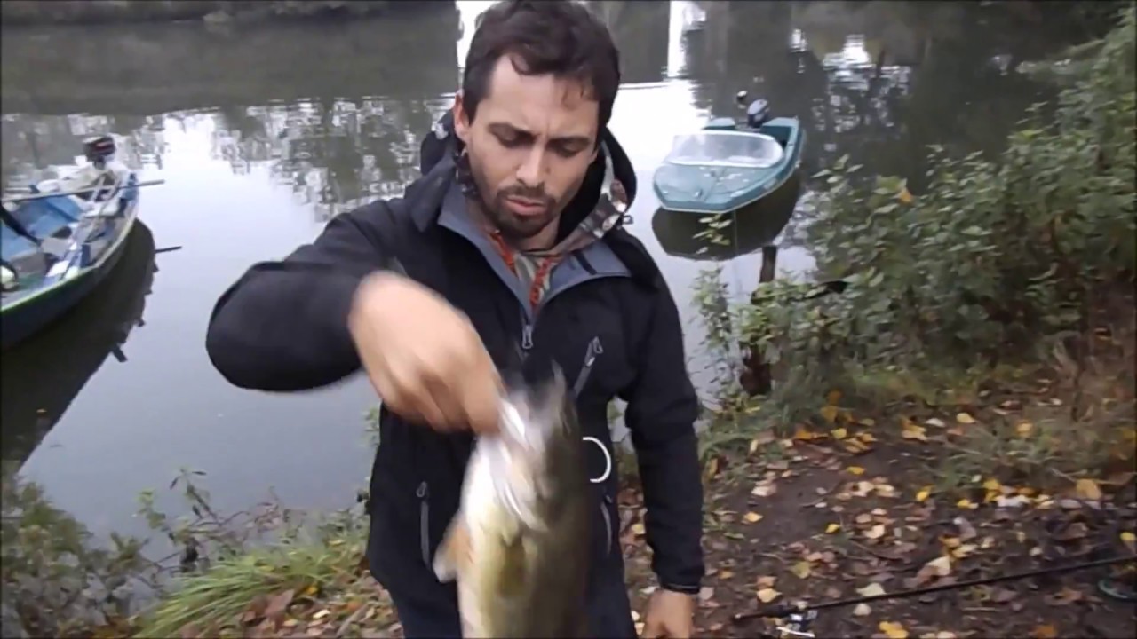How to catch big bass - Como pescar achigãs grandes