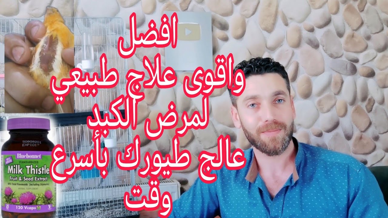 اسرع طريقة طبيعية فعالة لعلاج مرض الكبد عند طيور الكناري والحسون والبادجي