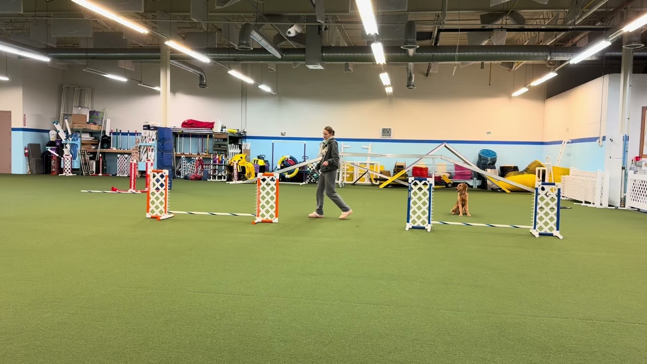 Torch lateral lead outs advanced 