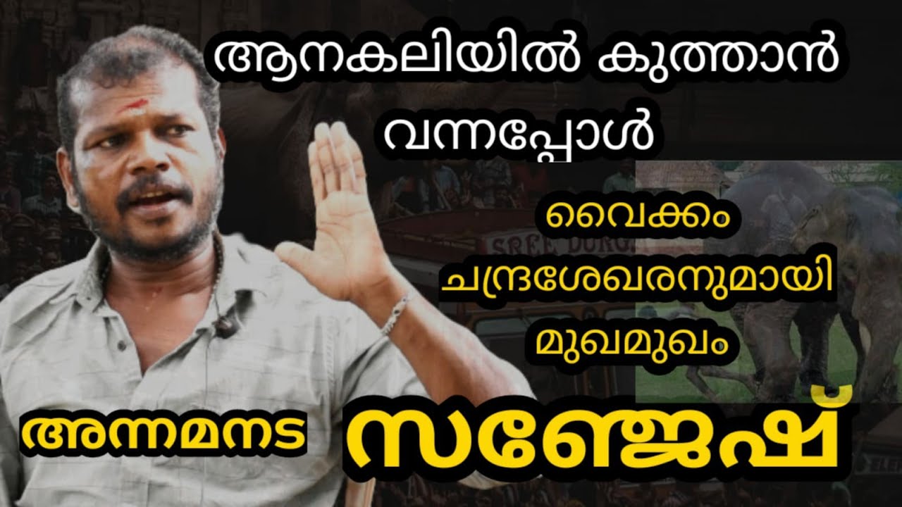 എന്നെ കിട്ടാത്ത ദേഷ്യത്തിൽ കിട്ടിയ തോർത്ത്‌ മുണ്ട് കടിച്ചു കീറിയ ആന വൈക്കം ചന്ദ്രശേഖരൻ 🔥