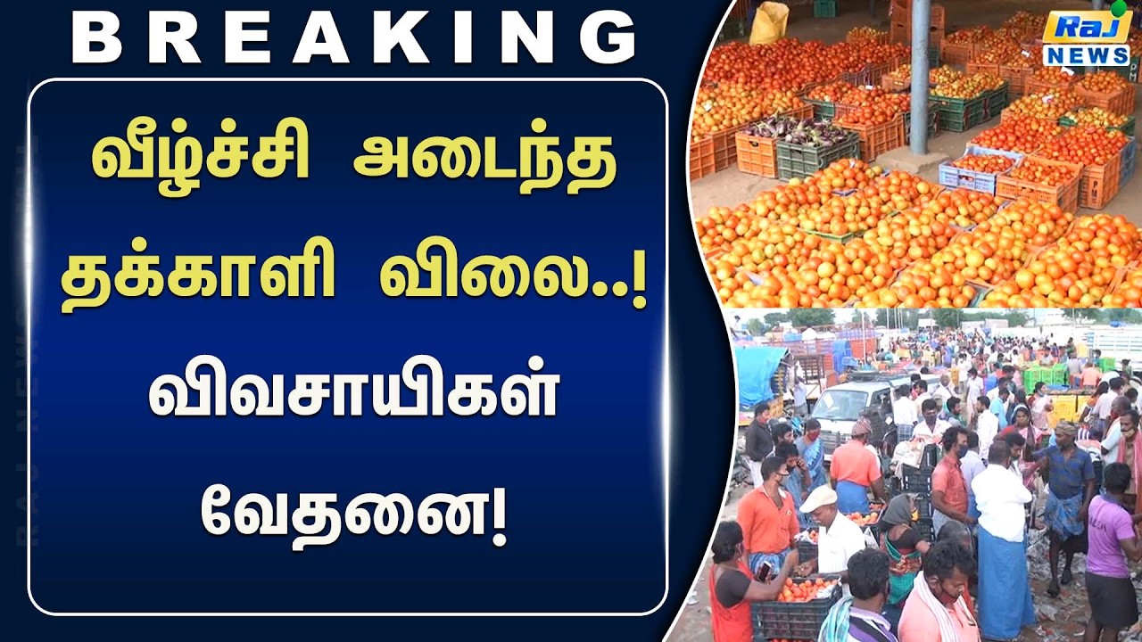 சில்லரை விலையில் தக்காளி விற்பனை..! விரக்தியில் விவசாயிகள்! #RajnewsTamil