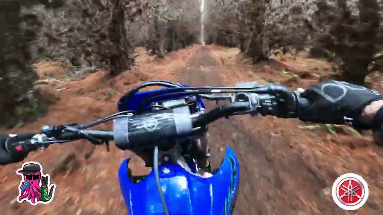 2024 WR250F | Squids 5 MIN Review