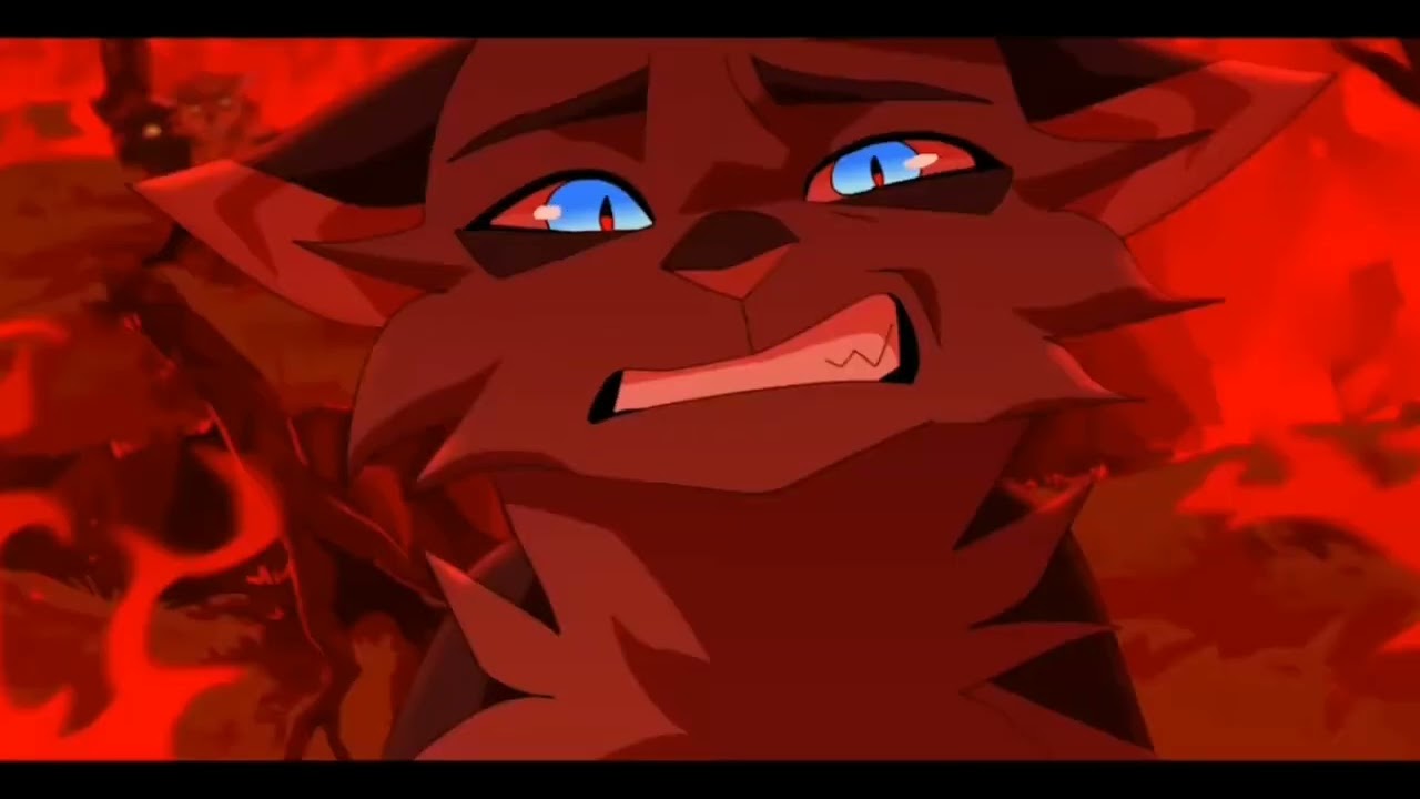 Warrior Cats Aschenpelz(Lost Control)